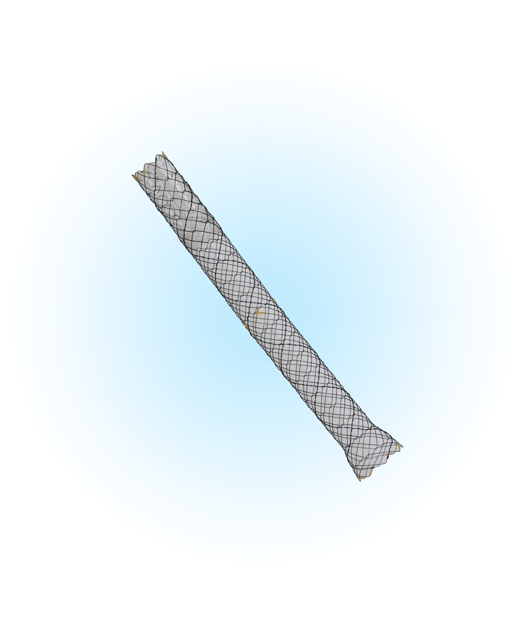 BNX Biliyer S Valfli Kapsız Stent