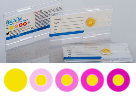 Helicobacter Pylori Kart Test